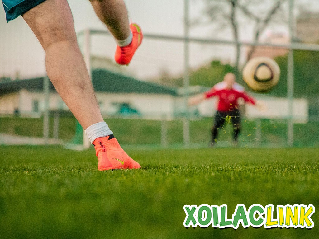 chinh-sach-hoat-dong-tai-xoilac-link