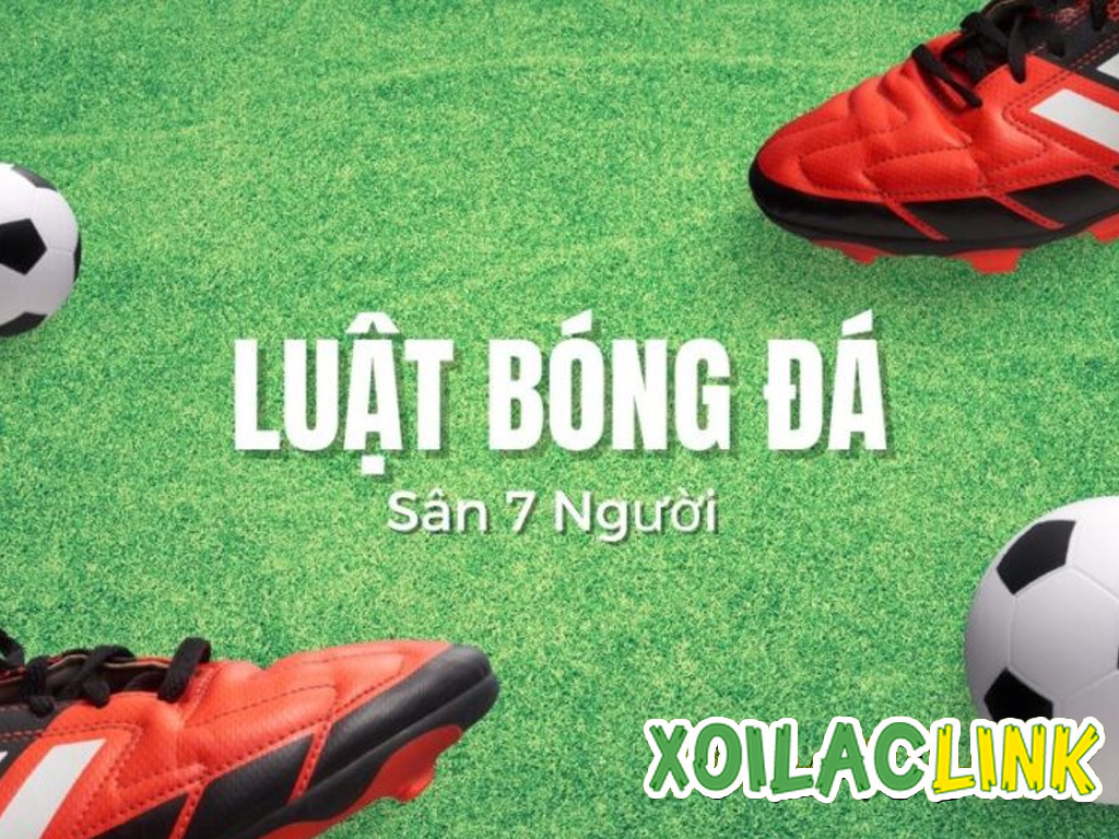 luat-bong-da-san-7-nguoi