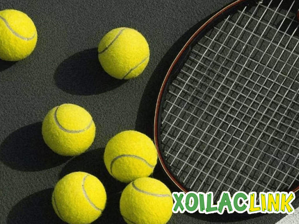 Top 10 tay vợt tennis thế giới – Những ngôi sao hàng đầu